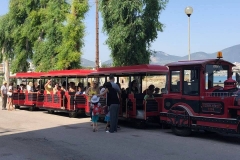 62404960_1143856179135737_3742024135342030848_n