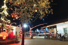 24296566_789487197905972_7748870558081199662_n